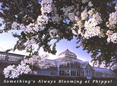 picture of Phipps Conservatory